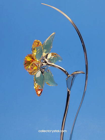 PARADISE FLOWERS – DACALI LIGHT TOPAZ 848448