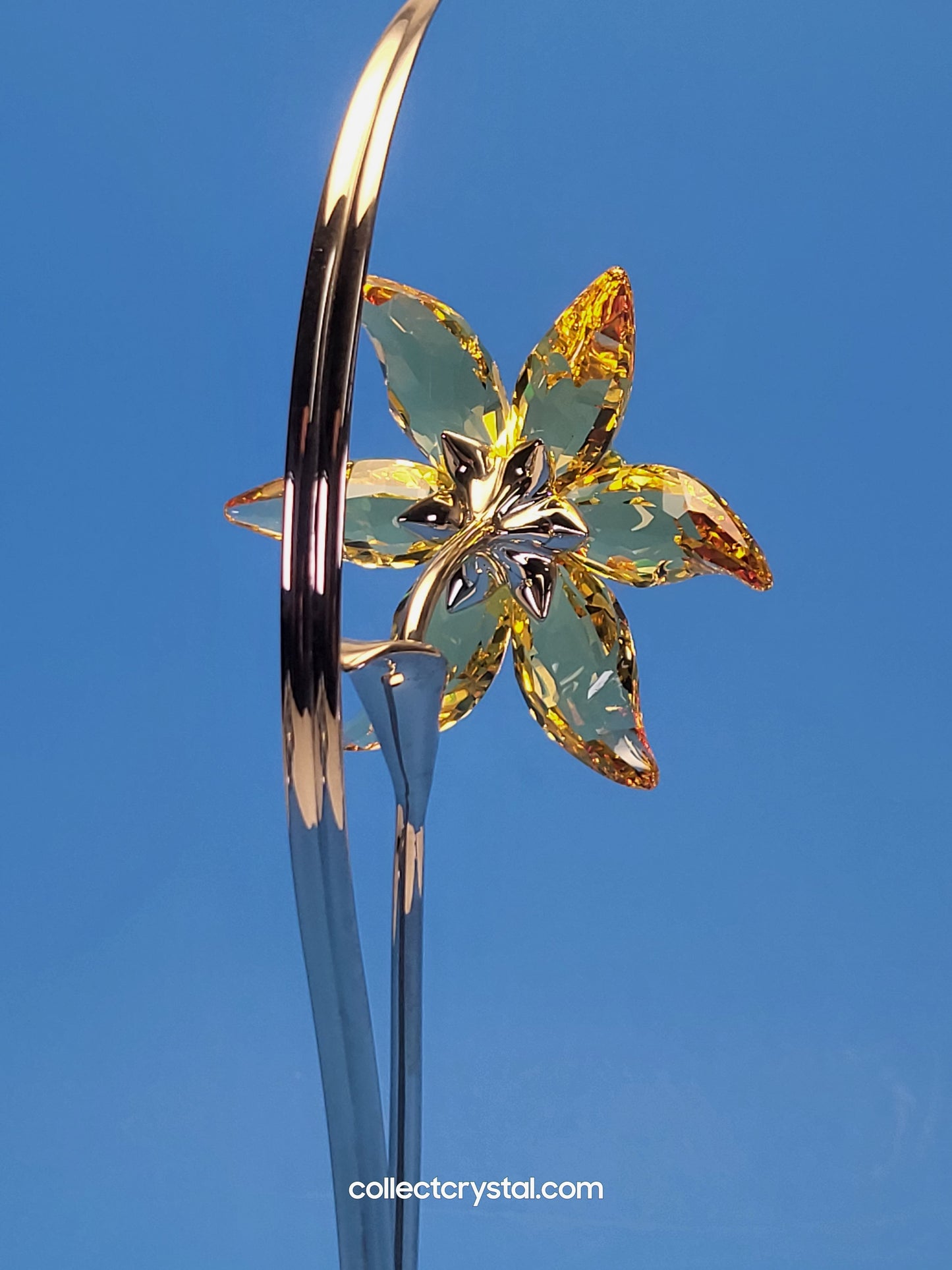 PARADISE FLOWERS – DACALI LIGHT TOPAZ 848448