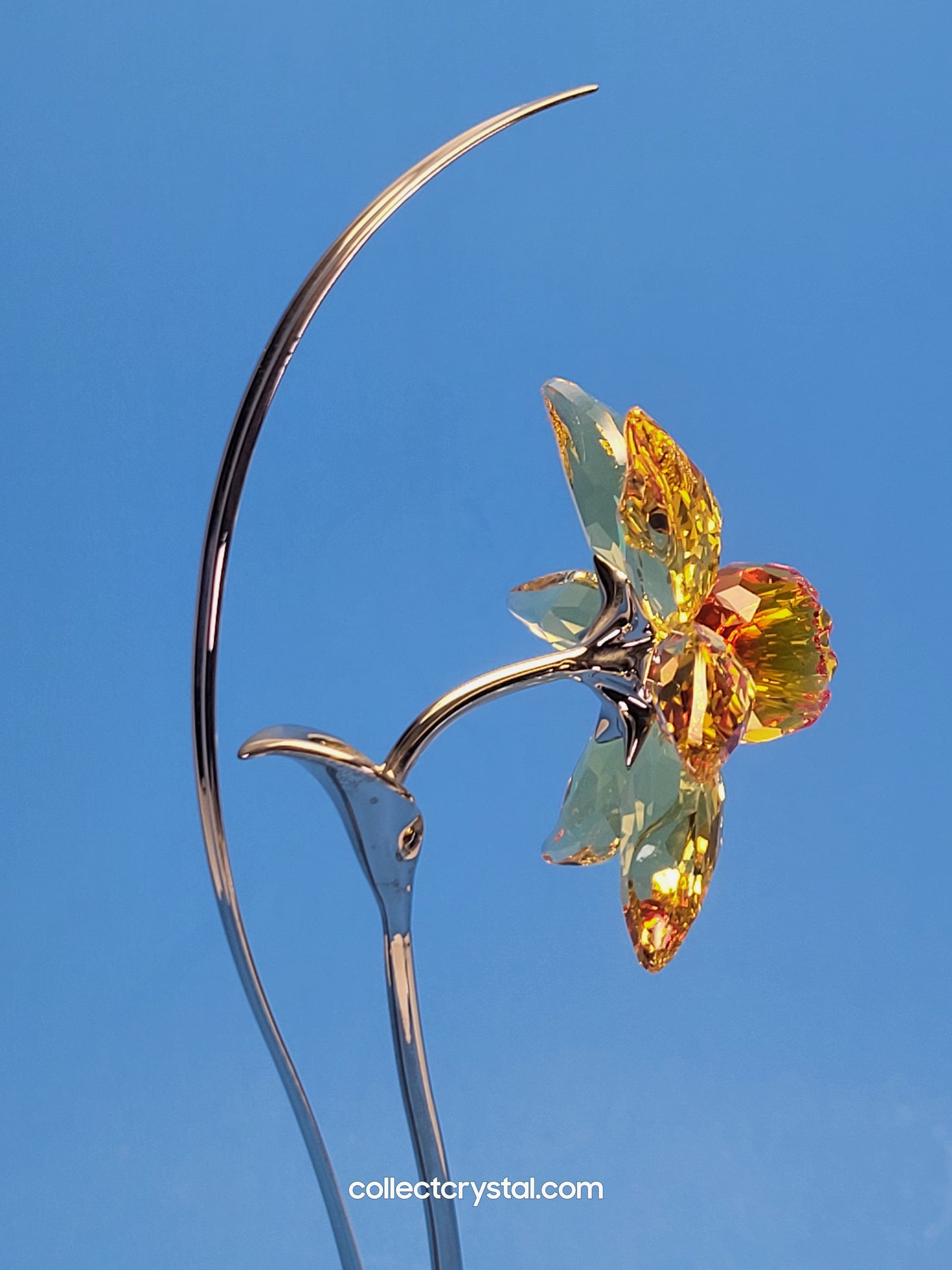 PARADISE FLOWERS – DACALI LIGHT TOPAZ 848448