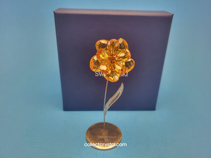 PARADISE FLOWERS – DAMBULLA LIGHT TOPAZ # 677618