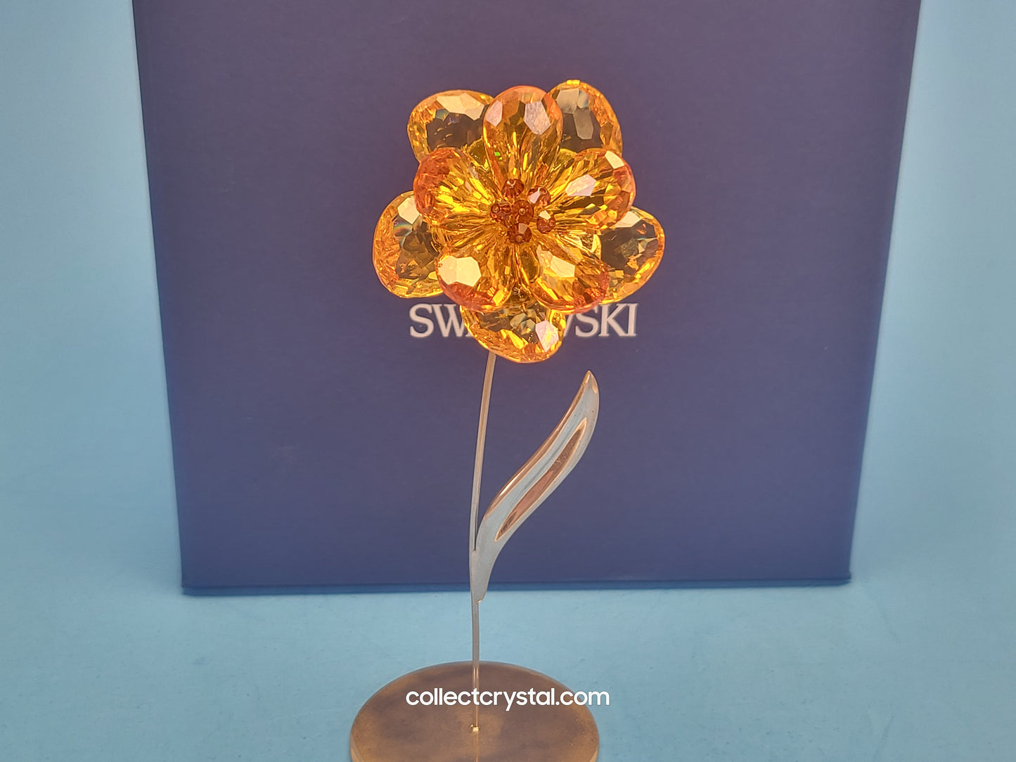 PARADISE FLOWERS – DAMBULLA LIGHT TOPAZ # 677618