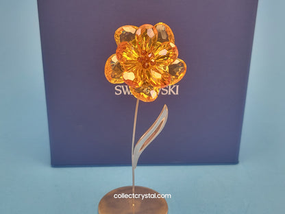 PARADISE FLOWERS – DAMBULLA LIGHT TOPAZ # 677618