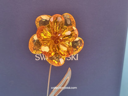 PARADISE FLOWERS – DAMBULLA LIGHT TOPAZ # 677618