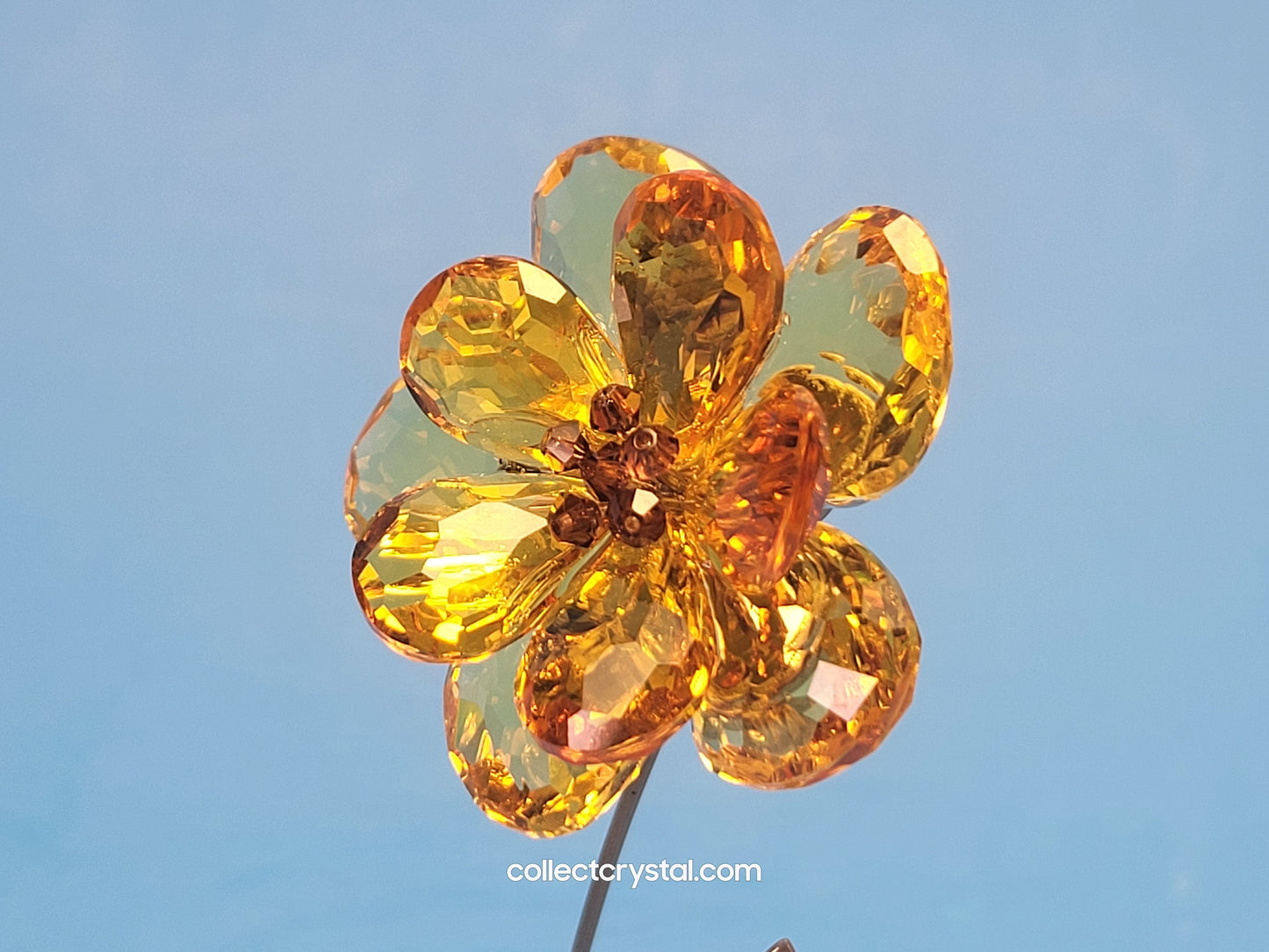 PARADISE FLOWERS – DAMBULLA LIGHT TOPAZ # 677618