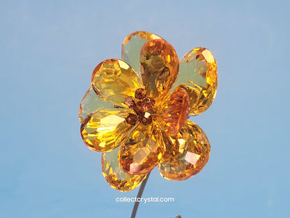 PARADISE FLOWERS – DAMBULLA LIGHT TOPAZ # 677618