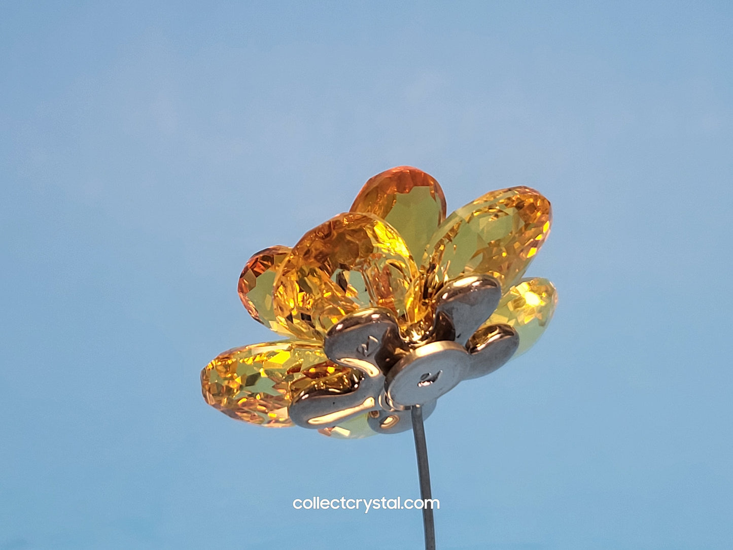 PARADISE FLOWERS – DAMBULLA LIGHT TOPAZ # 677618