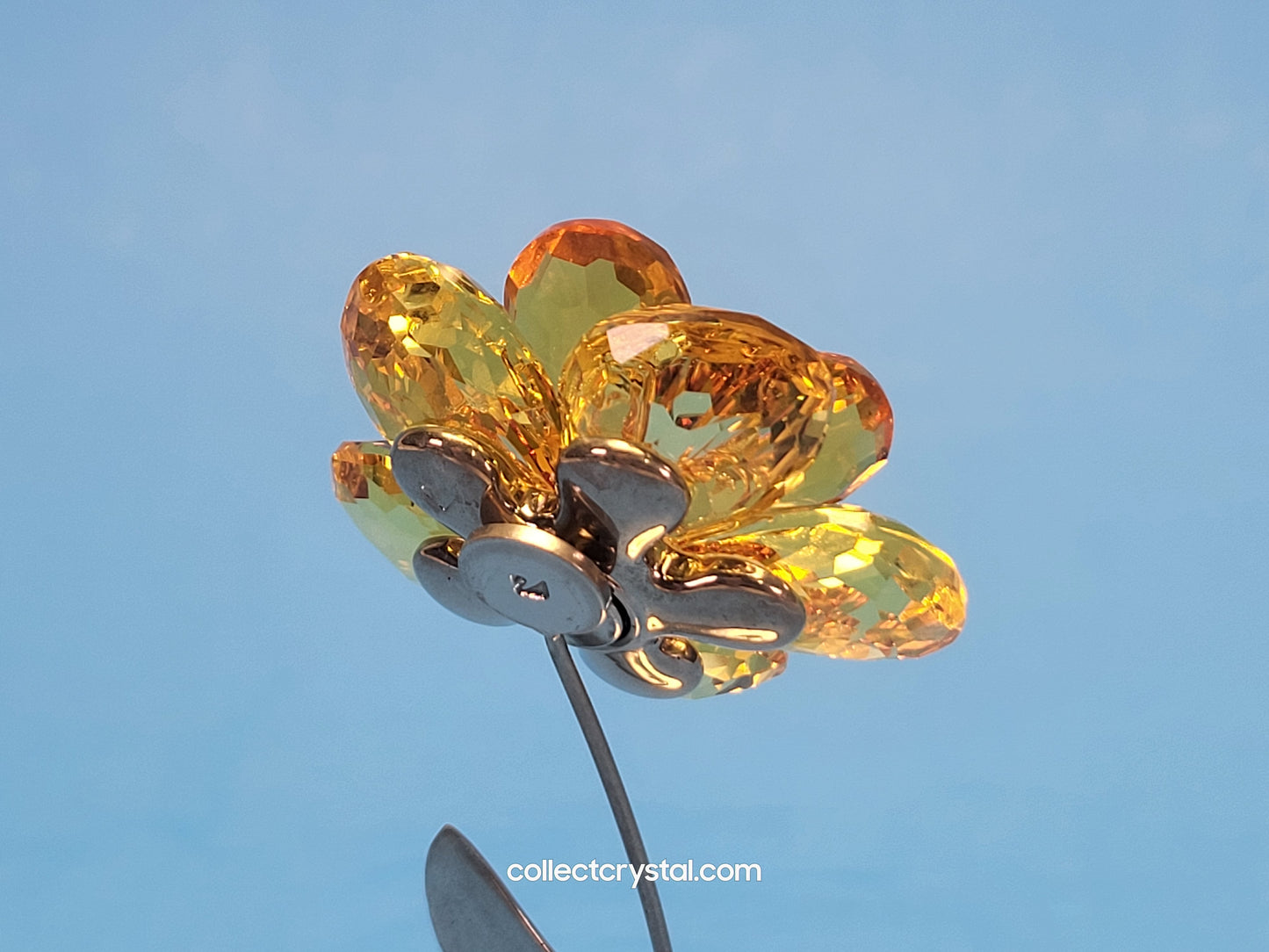 PARADISE FLOWERS – DAMBULLA LIGHT TOPAZ # 677618