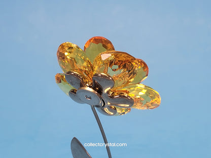 PARADISE FLOWERS – DAMBULLA LIGHT TOPAZ # 677618
