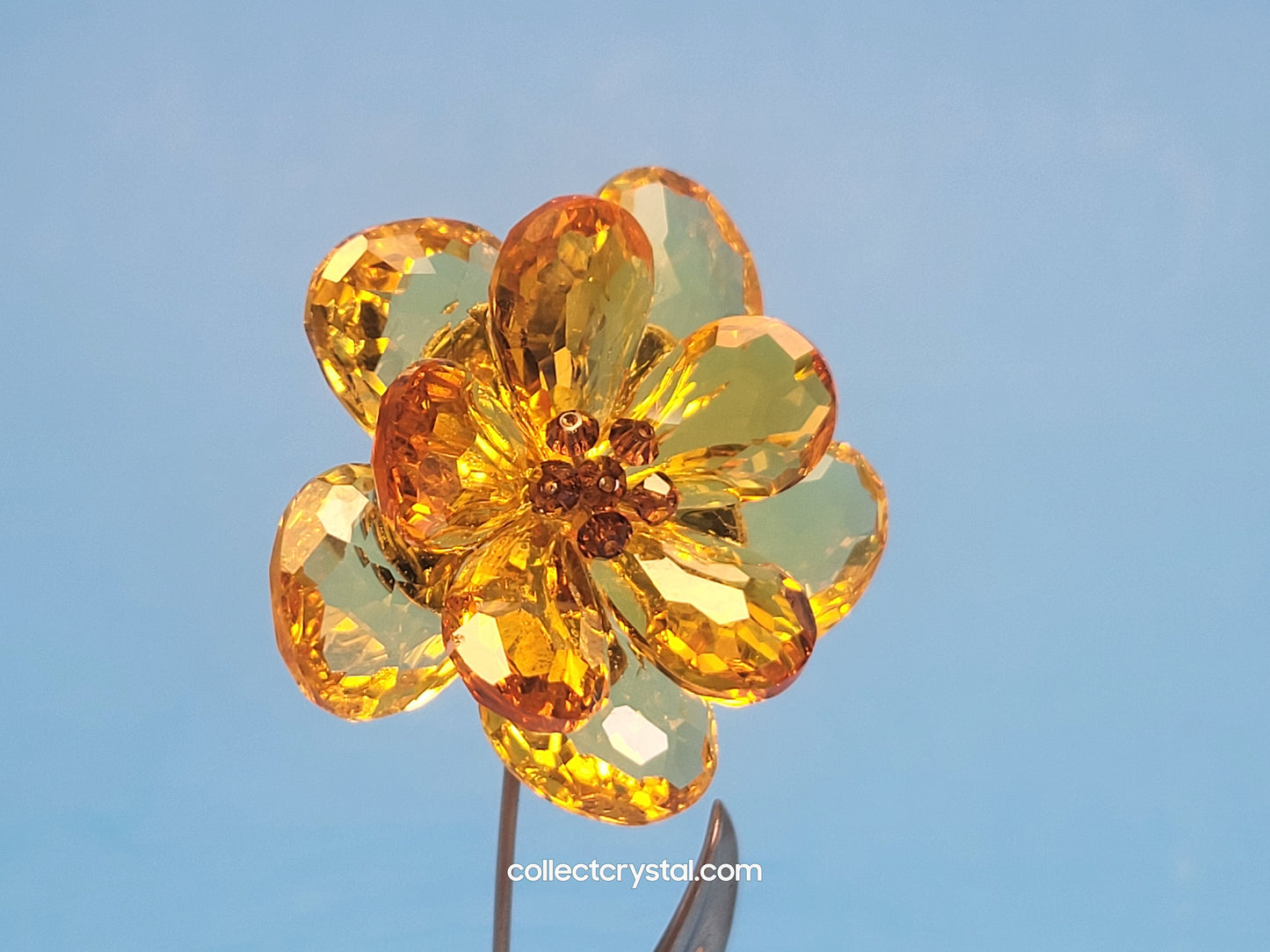 PARADISE FLOWERS – DAMBULLA LIGHT TOPAZ # 677618