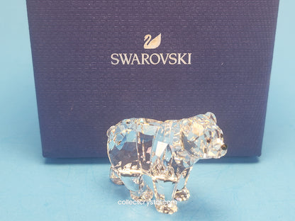 BEAR SISTER SCS 886308