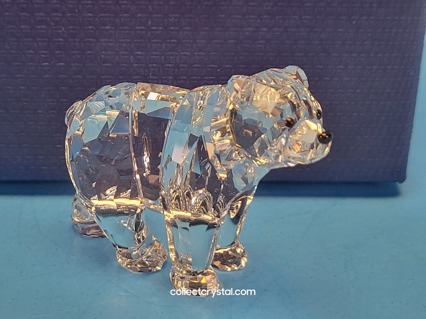 BEAR SISTER SCS 886308