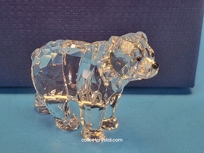 BEAR SISTER SCS 886308