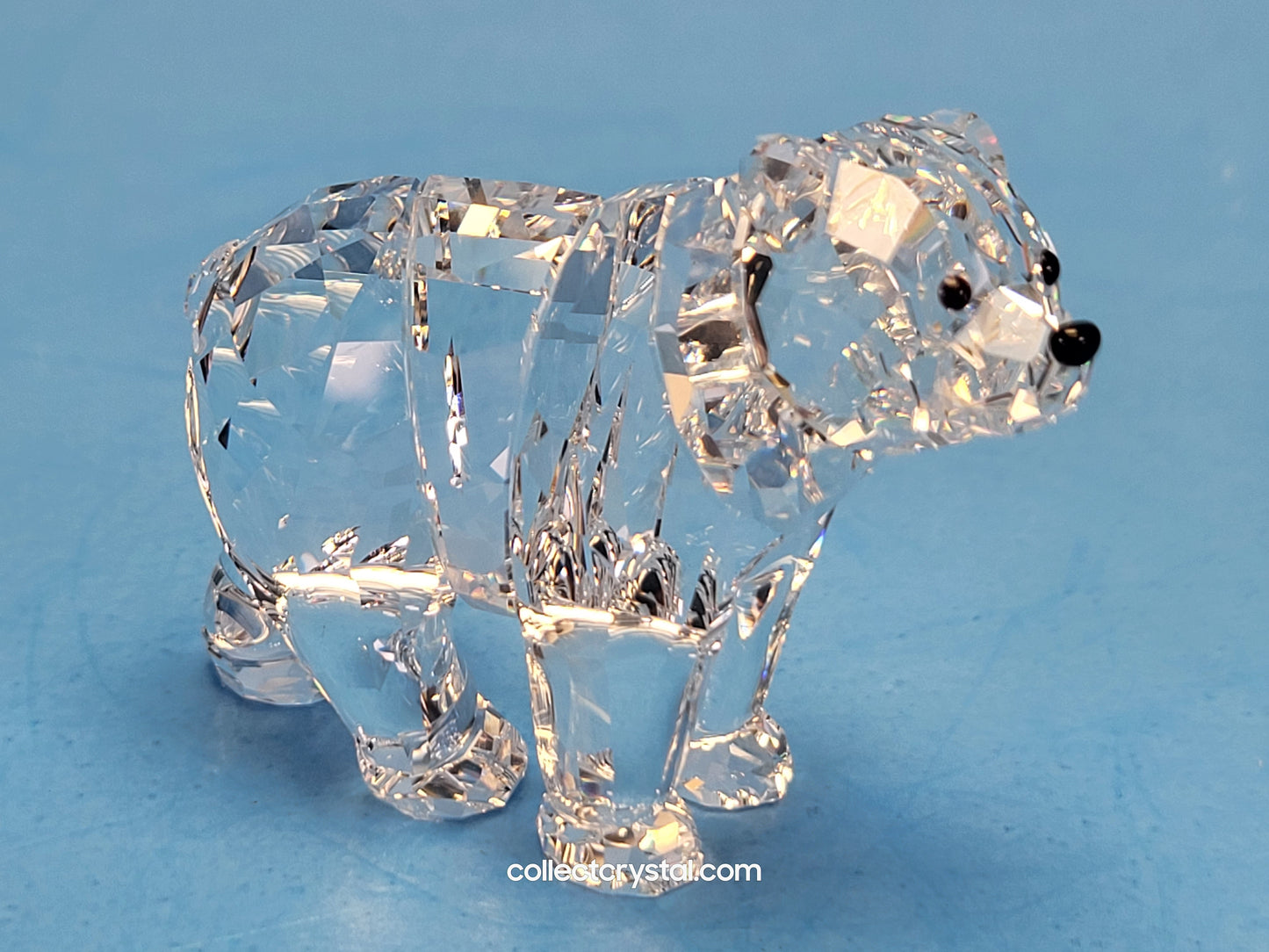BEAR SISTER SCS 886308