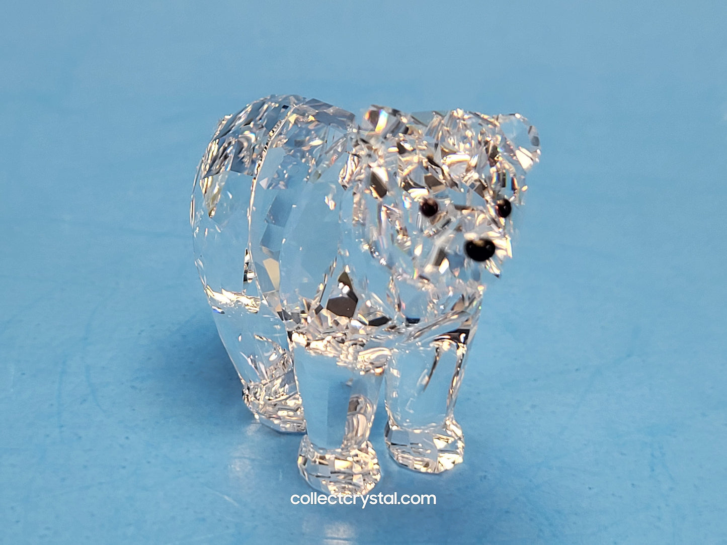 BEAR SISTER SCS 886308