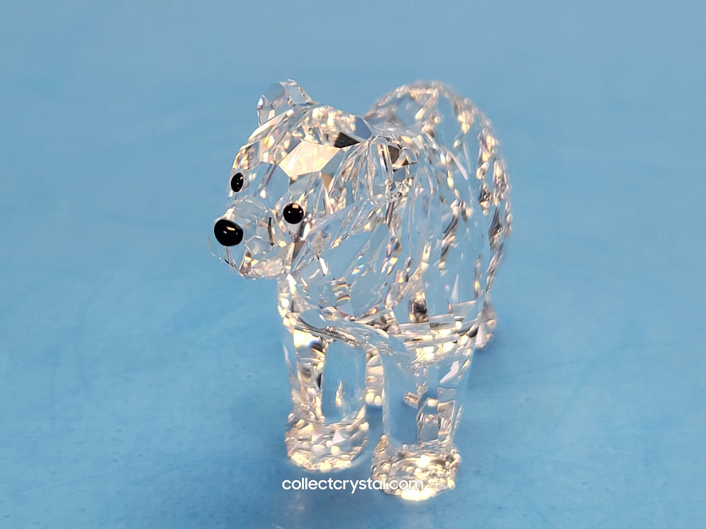 BEAR SISTER SCS 886308