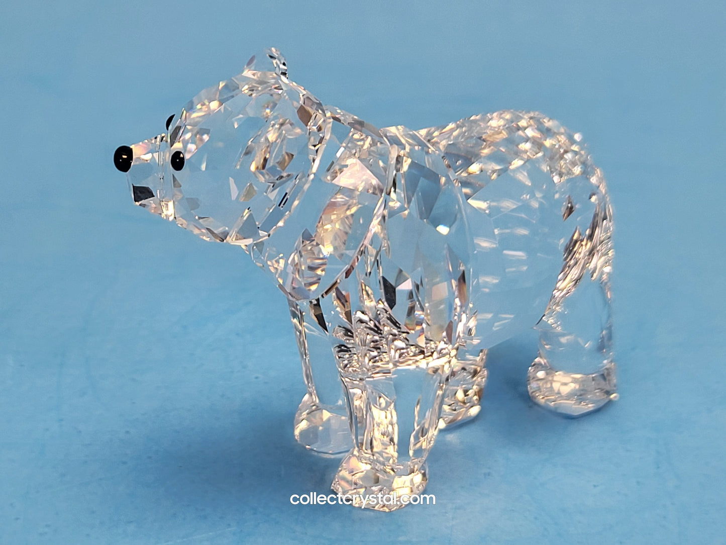 BEAR SISTER SCS 886308