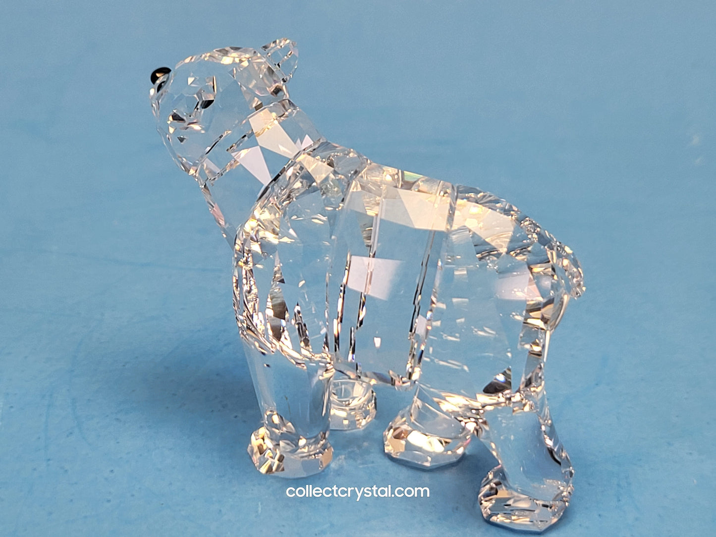 BEAR SISTER SCS 886308