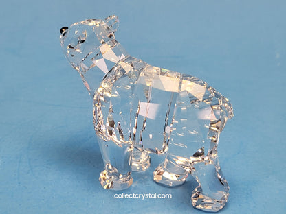 BEAR SISTER SCS 886308