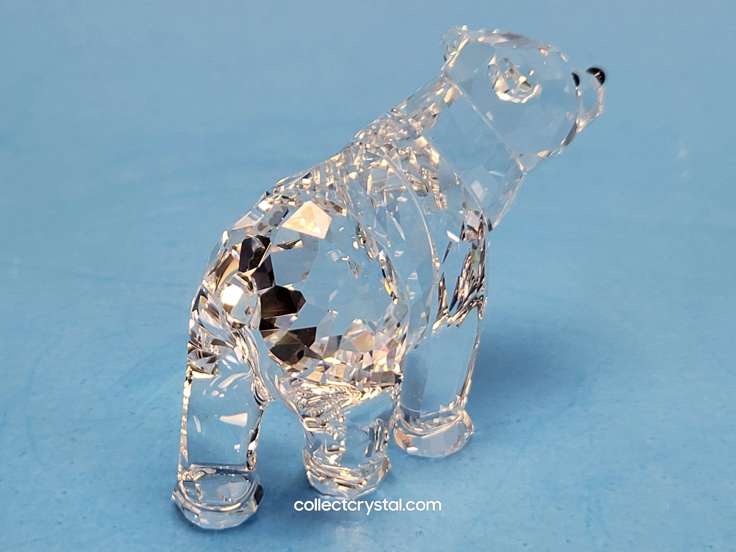 BEAR SISTER SCS 886308