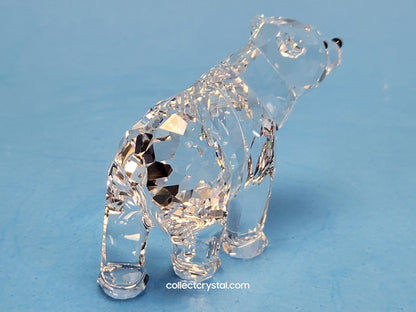 BEAR SISTER SCS 886308