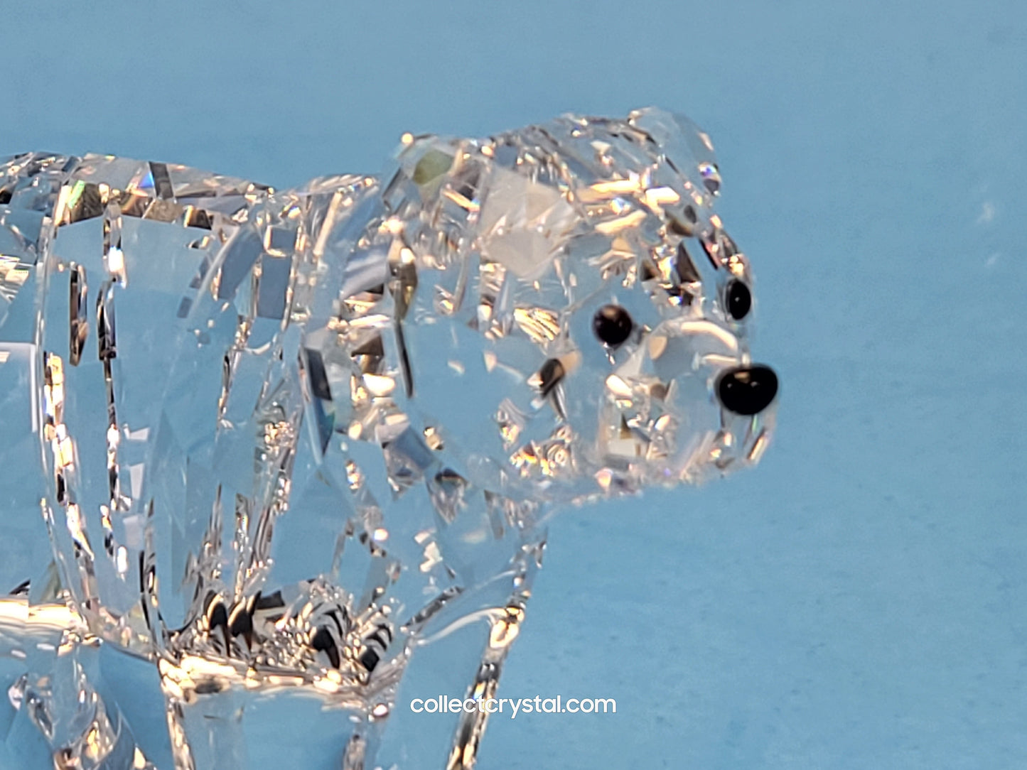 BEAR SISTER SCS 886308