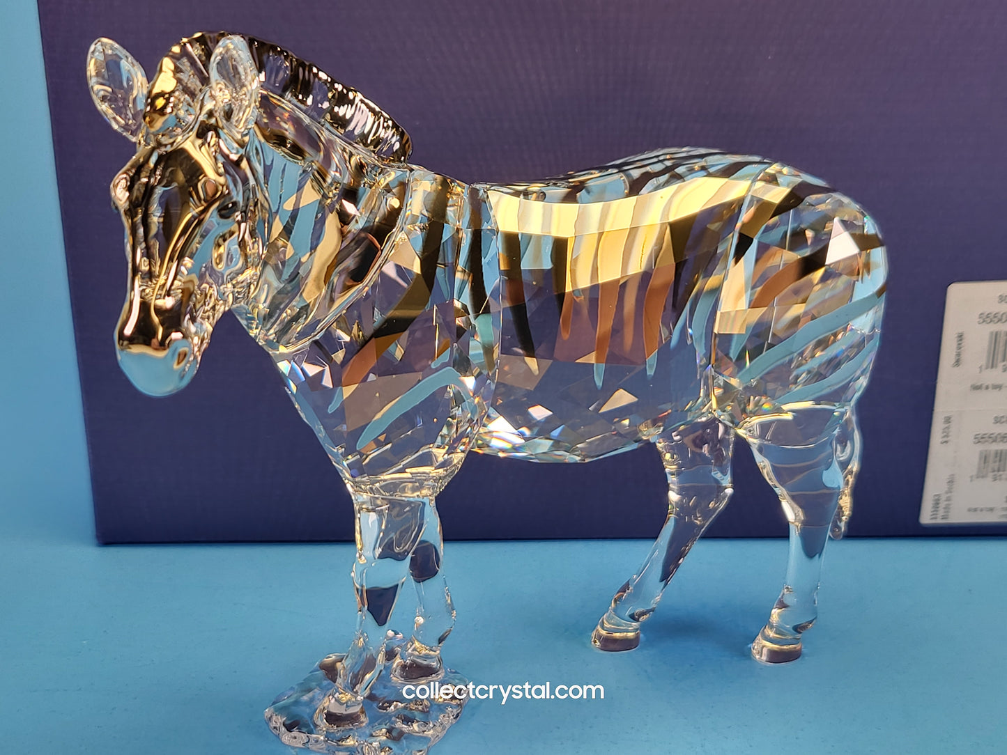 ANNUAL EDITION ELEGANCE OF AFRICA ZEBRA AMAI 5550663