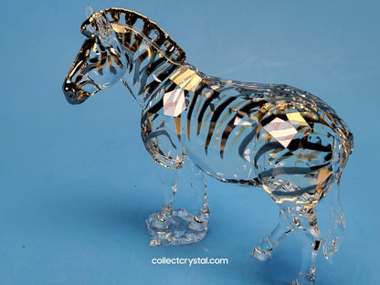 ANNUAL EDITION ELEGANCE OF AFRICA ZEBRA AMAI 5550663