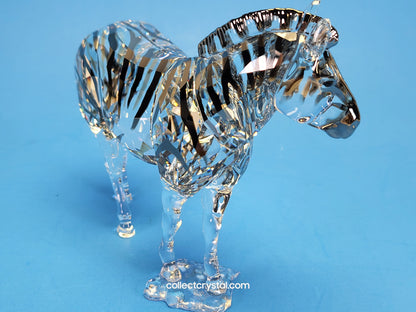 ANNUAL EDITION ELEGANCE OF AFRICA ZEBRA AMAI 5550663