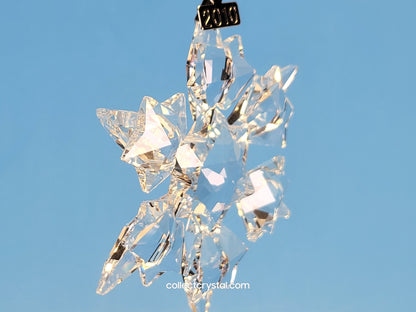 2010 Annual Christmas Ornament 1041301