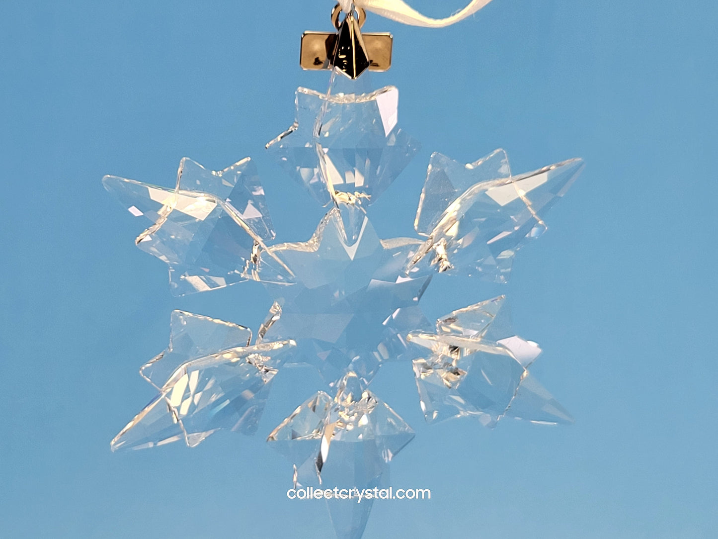 2010 Annual Christmas Ornament 1041301