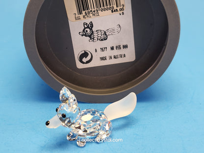 FOX MINI RUNNING / PROWLING 014956