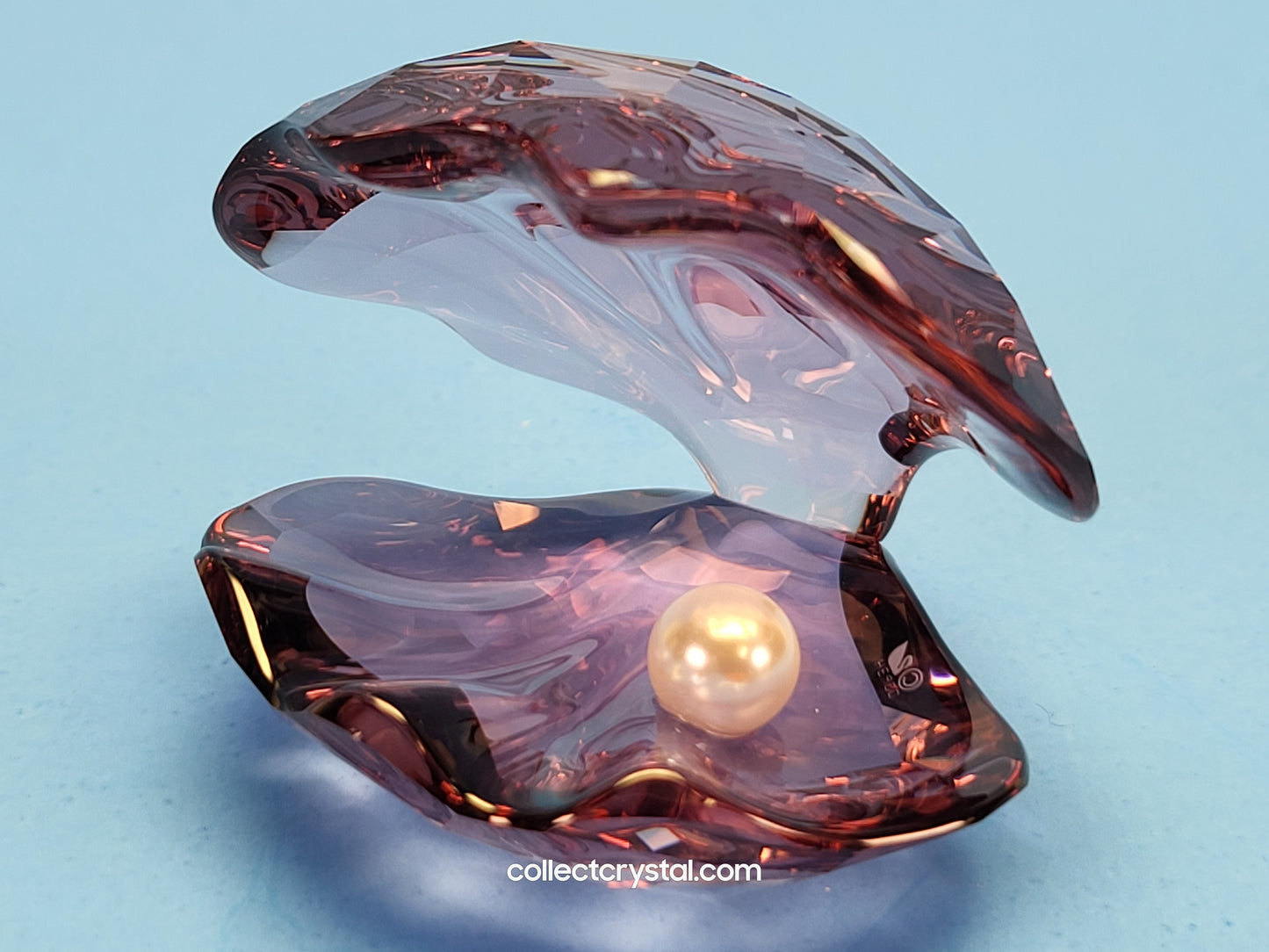 PEARL OYSTER, ANTIQUE PINK 5035512