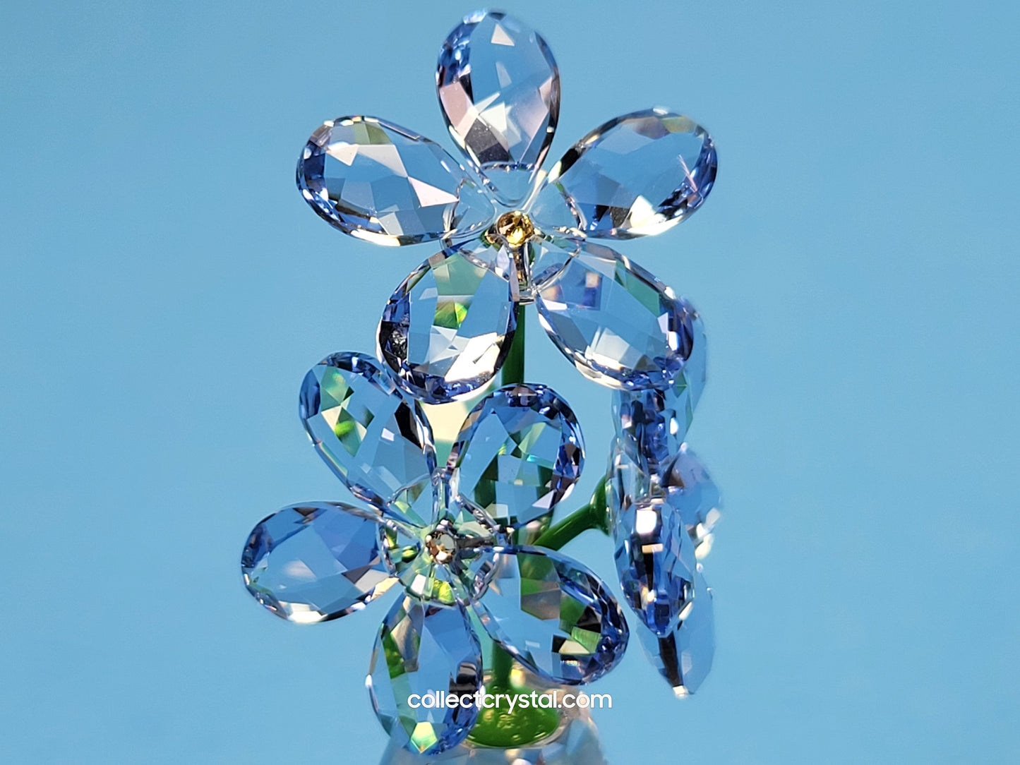 FLOWER DREAMS – FORGET ME NOTS 5254325