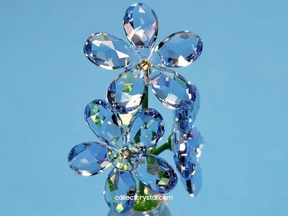 FLOWER DREAMS – FORGET ME NOTS 5254325