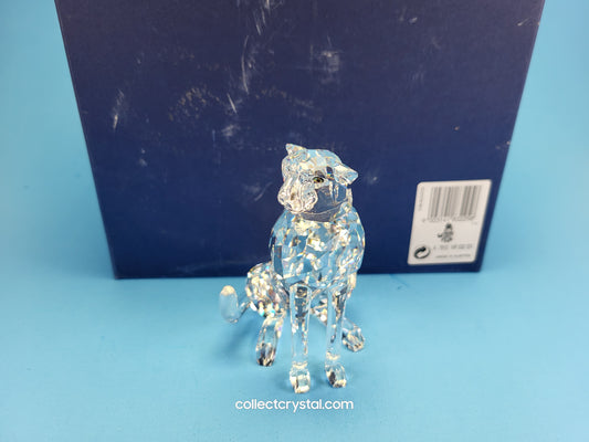 CHEETAH (VARIATION 1) – LOW TAIL 183225