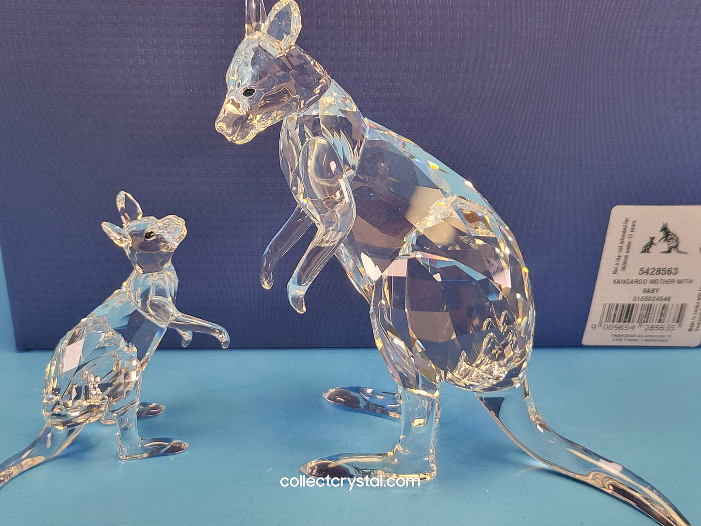 KANGAROO MOTHER WITH BABY 5428563