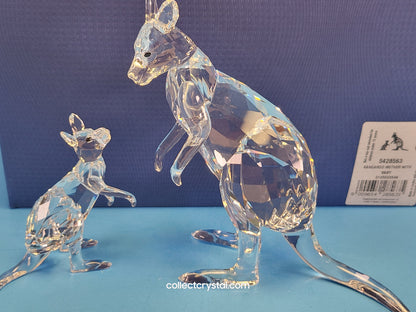 KANGAROO MOTHER WITH BABY 5428563