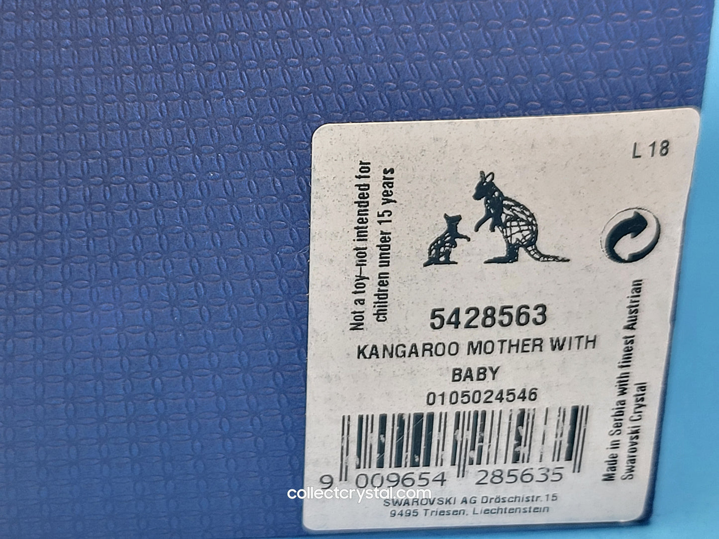 KANGAROO MOTHER WITH BABY 5428563