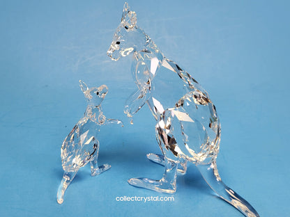 KANGAROO MOTHER WITH BABY 5428563