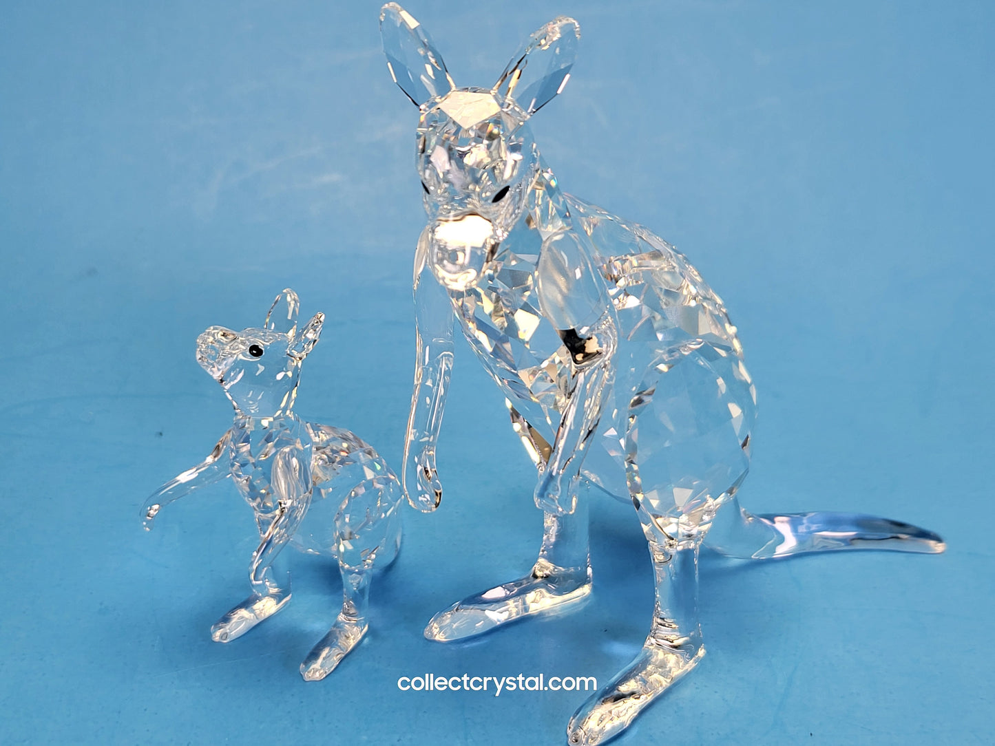 KANGAROO MOTHER WITH BABY 5428563