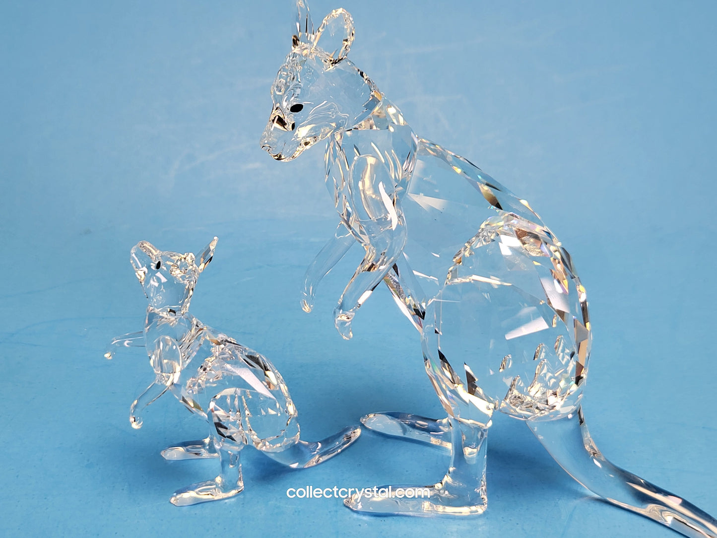 KANGAROO MOTHER WITH BABY 5428563