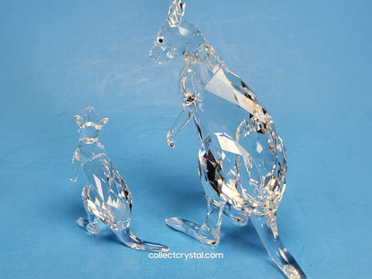 KANGAROO MOTHER WITH BABY 5428563