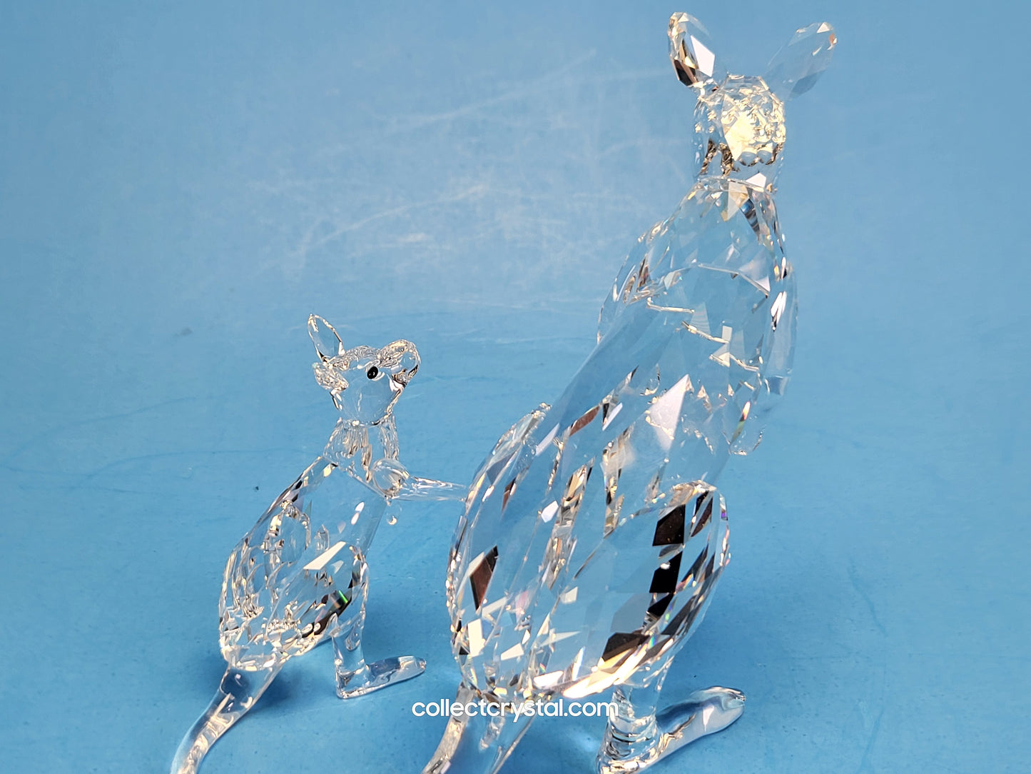 KANGAROO MOTHER WITH BABY 5428563