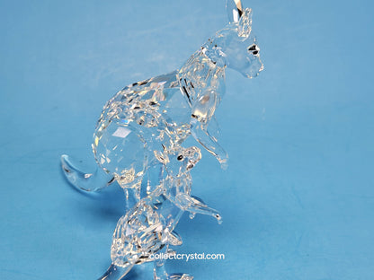 KANGAROO MOTHER WITH BABY 5428563