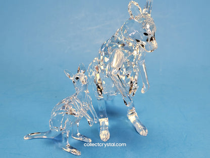 KANGAROO MOTHER WITH BABY 5428563