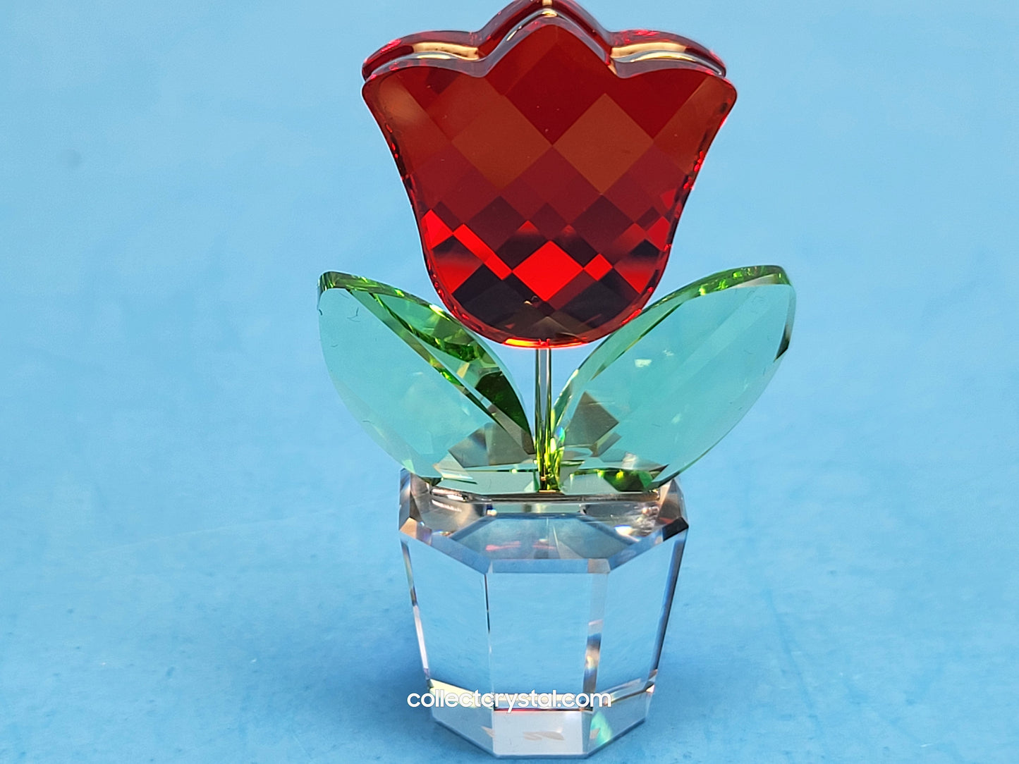 Happy Flowers Red Tulip Flower in Clear Pot # 657109