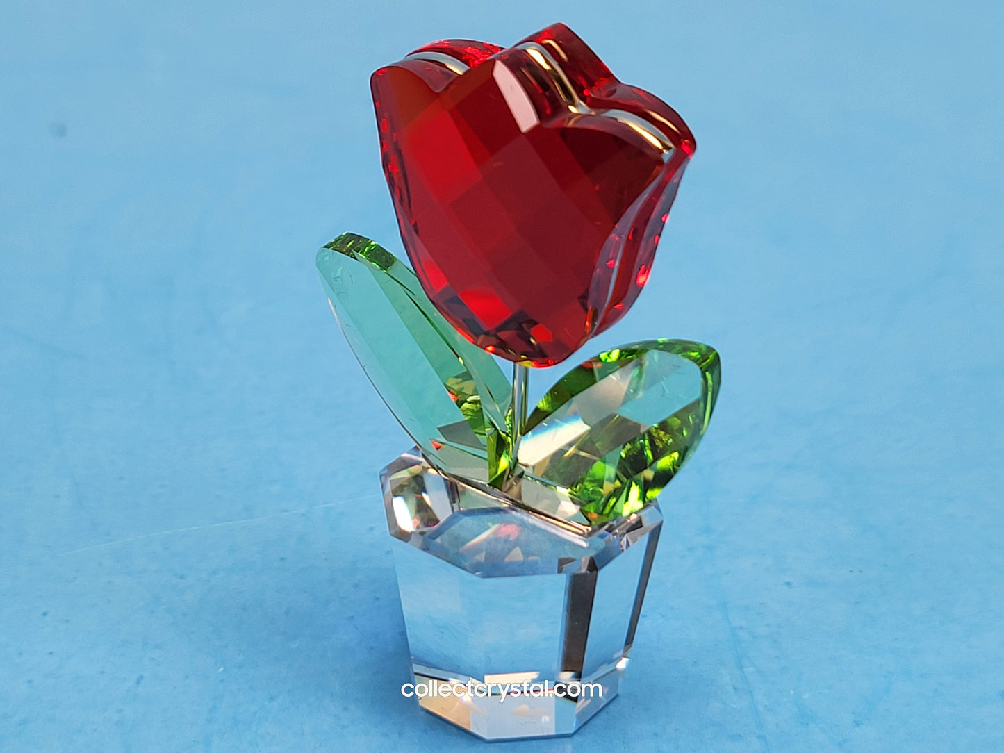 Happy Flowers Red Tulip Flower in Clear Pot # 657109