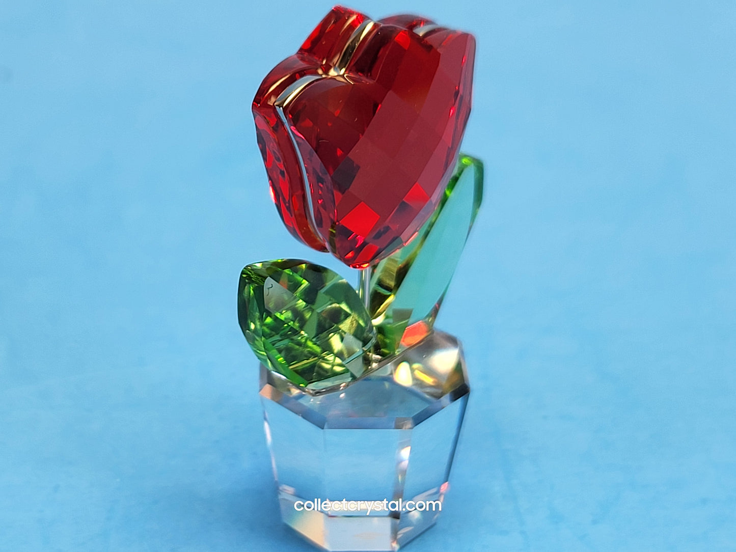 Happy Flowers Red Tulip Flower in Clear Pot # 657109