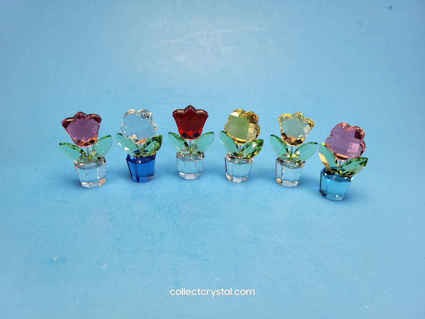 Happy Flowers - FLOWER PINK blue pot – often called Flower Red # 627097