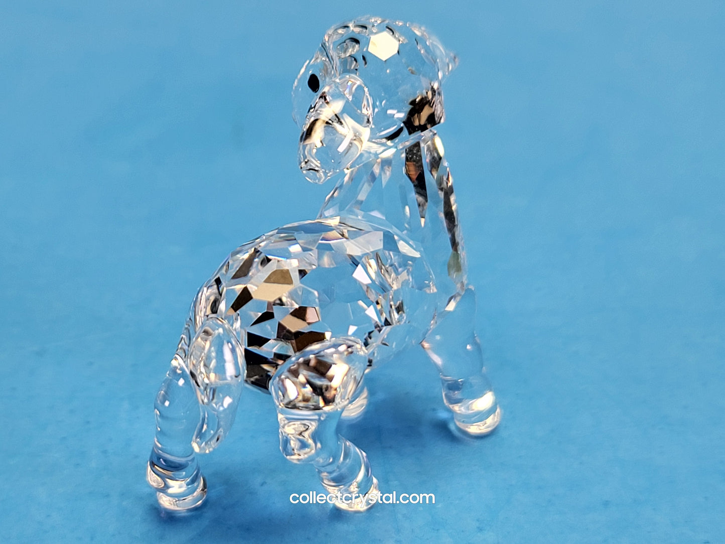 LAMB LITTLE 651875